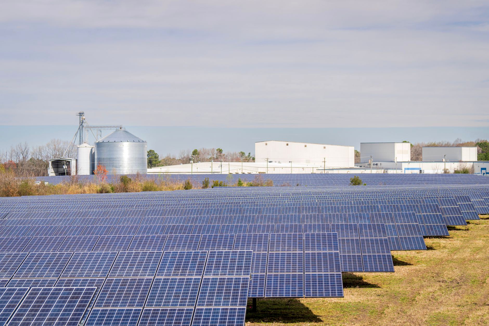 Molven Eco-Green Sürdürülebilir Kimya